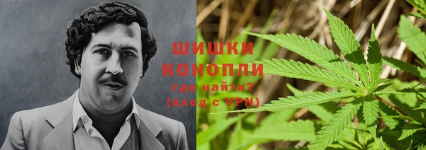 прущие крисы Абинск