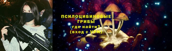 прущие крисы Абинск