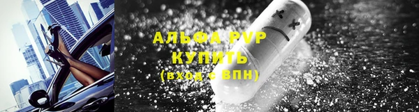 PSILOCYBIN Алексеевка